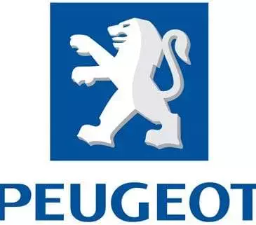 Disklok Peugeot campers